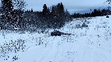 Трофи-лайф фото 4х4 покатушка Перемиловский Рубеж 05.01.2025 - (7).jpg