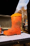 24-10-26_trophy-life_17 _0051jpg_web.jpg