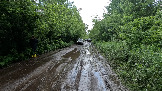 Трофи-лайф фото 4х4 покатушка Шатура - Петушки 14.06.2025 - (12).jpg