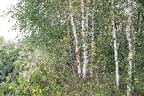 LKV_1493.JPG