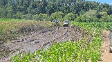 20260801_135033.jpg