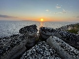IMG_9416.jpeg