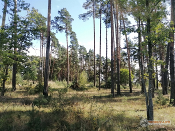 Фото Трофи-лайф 4х4 покатушка Покровский Пряник 04.09.21 - 262.jpg