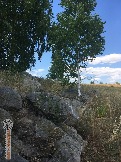Фото Трофи-лайф 4х4 покатушка-экспедиция Верхний Дон -- (24).jpg