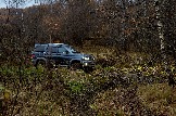 24-10-26_trophy-life_17 _0489jpg_web.jpg