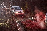 24-10-26_trophy-life_17 _0538jpg_web.jpg