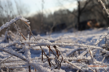 Фото Трофи-лайф 4х4 покатушка Южные Косогоры 12.12.20 - 165.JPG