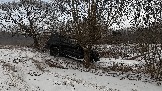 Трофи-лайф фото 4х4 покатушка Школа 4х4 16.02.2025 -  (70).jpg
