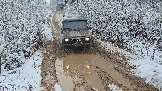 20251115_122938.jpg
