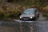 IMG_8824.jpeg