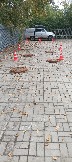1700683520666.jpg