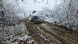 20251115_112702.jpg