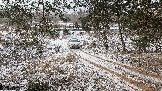 Трофи-лайф фото 4х4 покатушка Школа 4х4 16.02.2025 -  (212).jpg