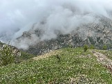 IMG_8474.JPEG