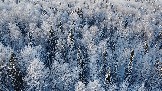 DJI_0940.JPG