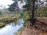 2023-10-06 13-11-21.JPG