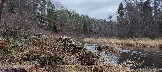 IMG_20231105_112355.jpg