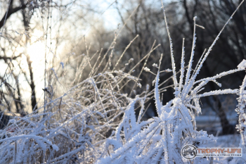 Фото Трофи-лайф 4х4 покатушка Южные Косогоры 12.12.20 - 168.JPG
