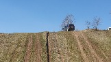 20250420_122612.jpg