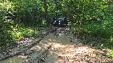 20260606_165203.jpg
