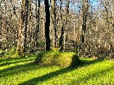 2025_11_02_11_59_IMG_4977.JPG