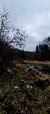 IMG_20231105_112234.jpg
