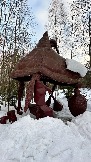IMG_1470.jpg