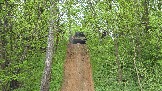 20250518_160312.jpg