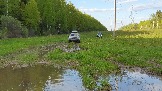 20240504_173733.jpg