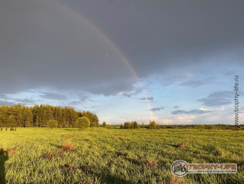 Фото Трофи-лайф 4х4 покатушка Шелковый Путь 28.05.22 - 255.jpeg