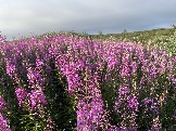 IMG_9402.jpeg