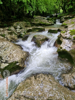 Фото Трофи-лайф 4х4 экспедиция Абхазия 2022 1-9.05.22 - 741.jpg