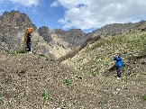 IMG_8598.JPEG