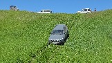 20260606_132450.jpg