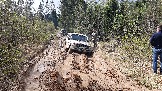 20250426_133333.jpg