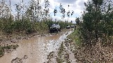 20250426_120237.jpg