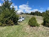 IMG_8679.JPEG