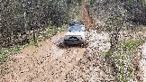 20250426_140030.jpg