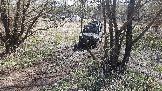 20250420_131221.jpg