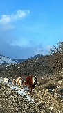 IMG_8768.JPG