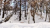 04F1591E-4A8B-41F4-AAF7-72E3F4757805.jpeg