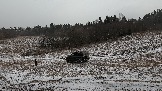 Трофи-лайф фото 4х4 покатушка Школа 4х4 16.02.2025 -  (203).jpg