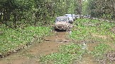 20260510_130329.jpg