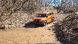 20250316_115412.jpg