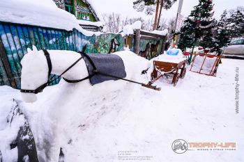 Фото Трофи-лайф 4х4 покатушка Мещерские Скитания 04.01.22 - 177.jpg