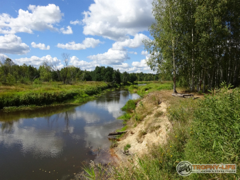 Фото Трофи-лайф 4х4 покатушка-экспедиция Рязанская Мещера 21-24.08.20 -19.JPG