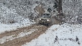 20251115_124149.jpg