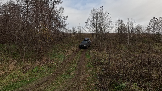 Трофи-лайф фото 4х4 День Рождения Трофи-лайф 17 лет 26.10.2024 -  (2).png