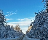 IMG_2750.JPG