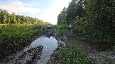20260801_180323.jpg